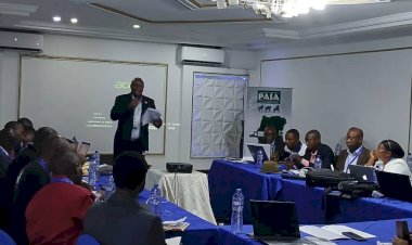 RDC : vers un protocole national de confiscation et de conservation ex-situ pour mieux protéger la faune sauvage