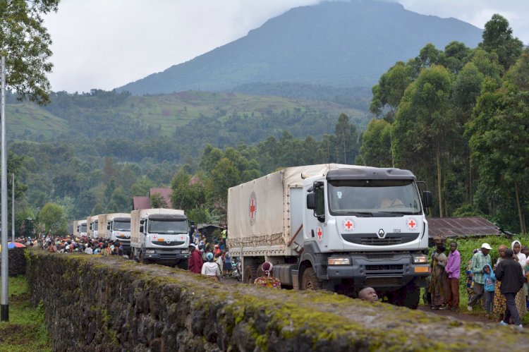Sud-Kivu : le CICR inquiet de la situation des personnes suites aux opérations militaires
