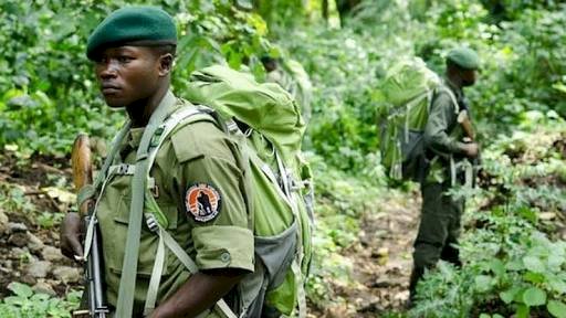 Rutshuru: Six éco-gardes du PNVi  tués dans une attaque ciblée à Nyamitwitwi