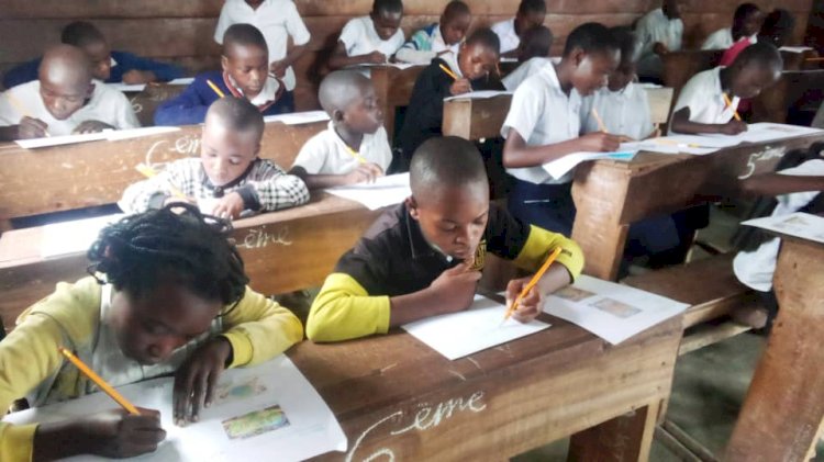 Goma : 150 écoliers participent à un atelier sur la paix