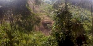 Nord-Kivu : l’écosystème est en danger pendant les affrontements, alerte le CRPE