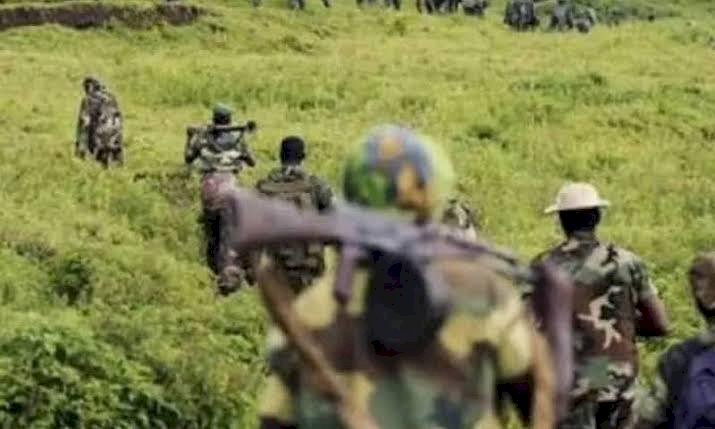 Nord-Kivu : 3 combattants de l'ADF capturés par les FARDC à Beni