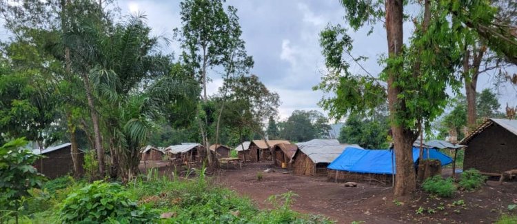 Urgence Humanitaire à Bunia : Appel à l'Aide pour les Déplacés du Cité Tsere