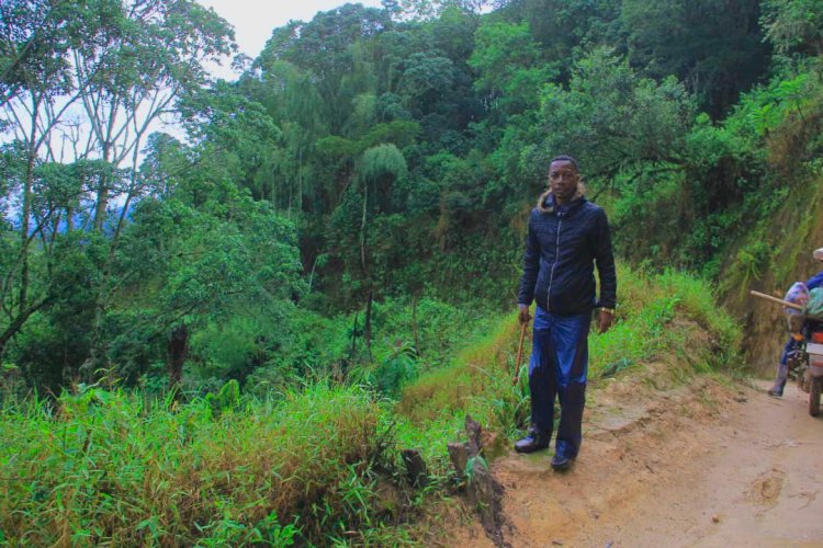 Sud-Kivu: Insécurité sur la RN2, Me José NEPANGI alerte les services de sécurité (CongoForum)