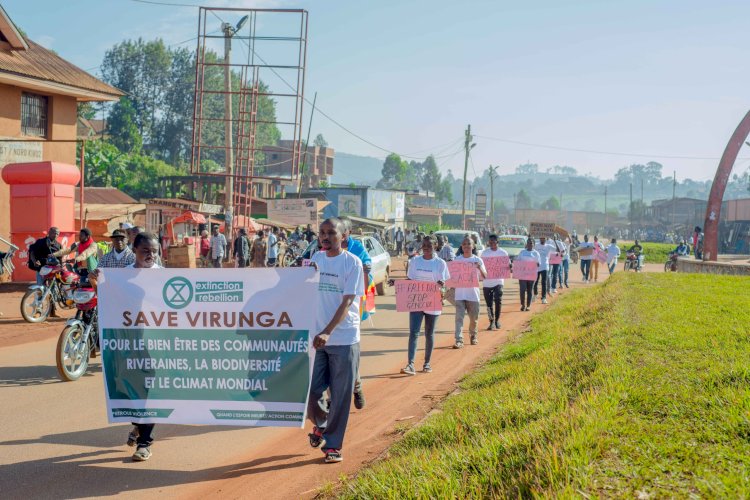 Nord-Kivu : des activistes œuvrant dans l'environnement sensibilisent sur la protection des aires protégées