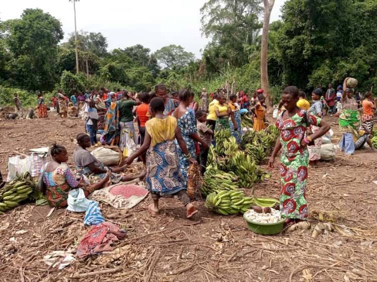 Ituri : Mangiliba, un marché renaît, la paix aussi