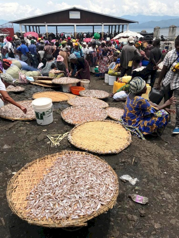 Goma-kituku: un marché au bord du danger hygiénique